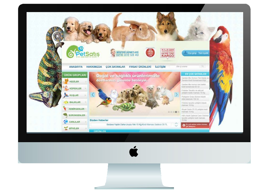 web tasarım